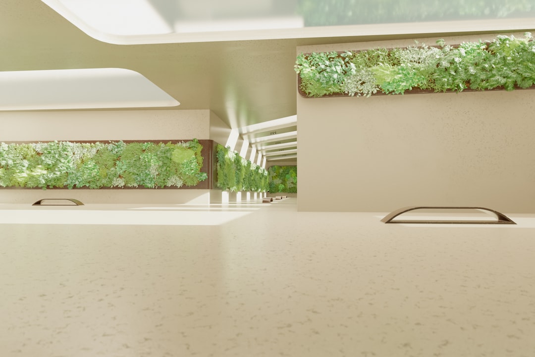 Countertop installation in Round Rock, TX